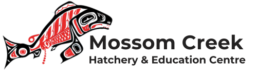 Mossom Creek Logo