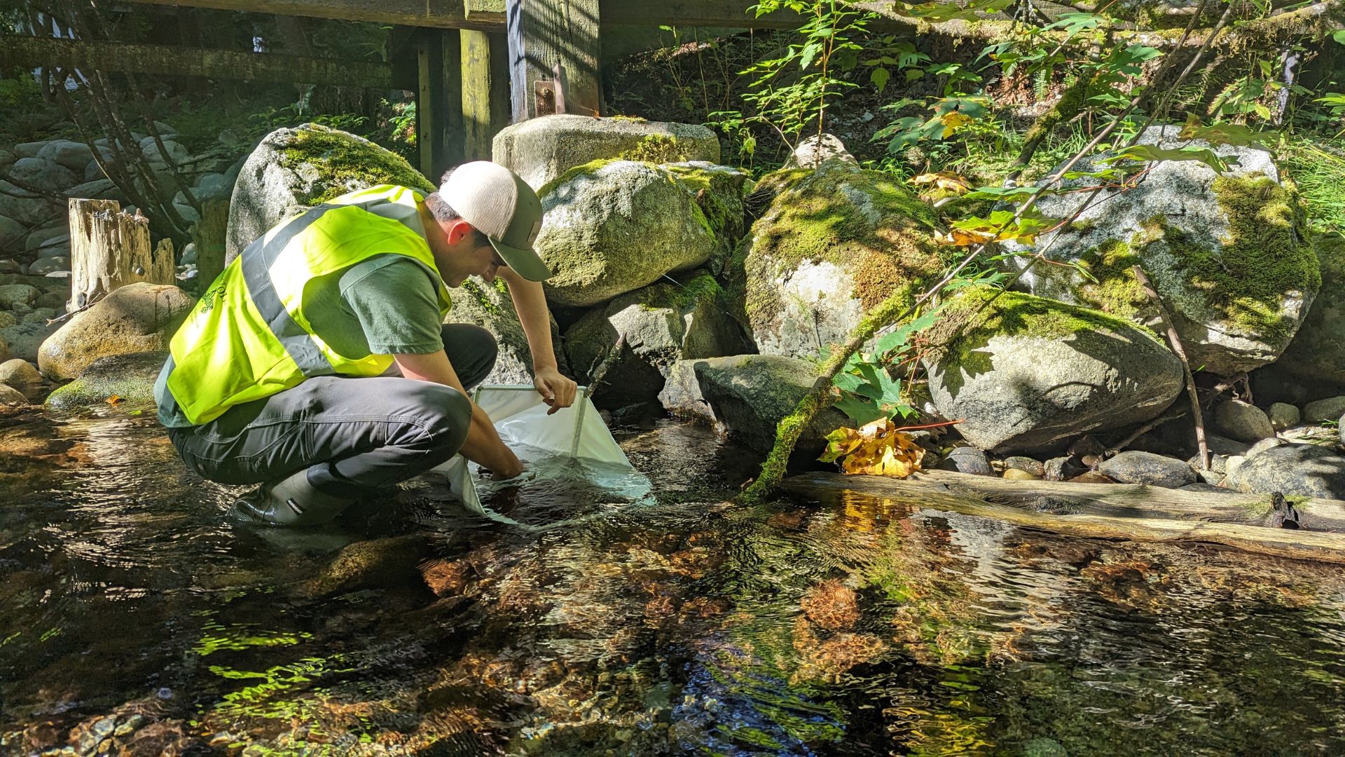 Road Salt and Salmon Mossom Creek Hatchery and Education Centre